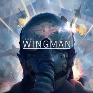 PC – Project Wingman