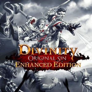 PC – Divinity: Original Sin – Enhanced Edition