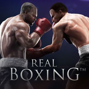 PC – Real Boxing